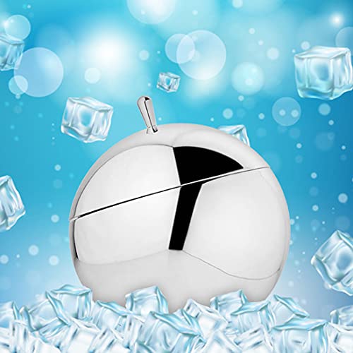 FnS Stainless Steel Ice Bucket with Lid